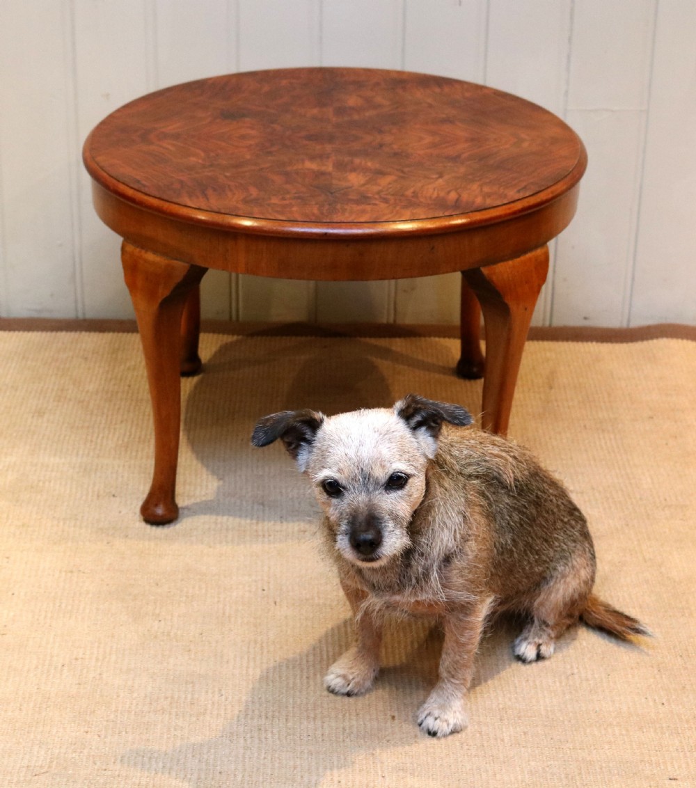 Walnut Low Circular Table View VIII