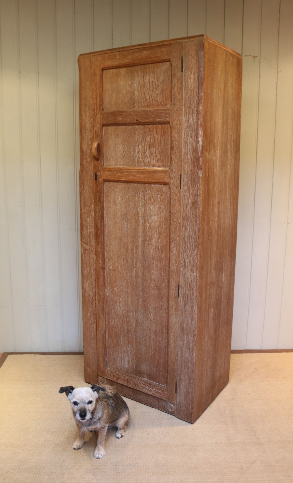 Single Limed Oak Wardrobe View VII