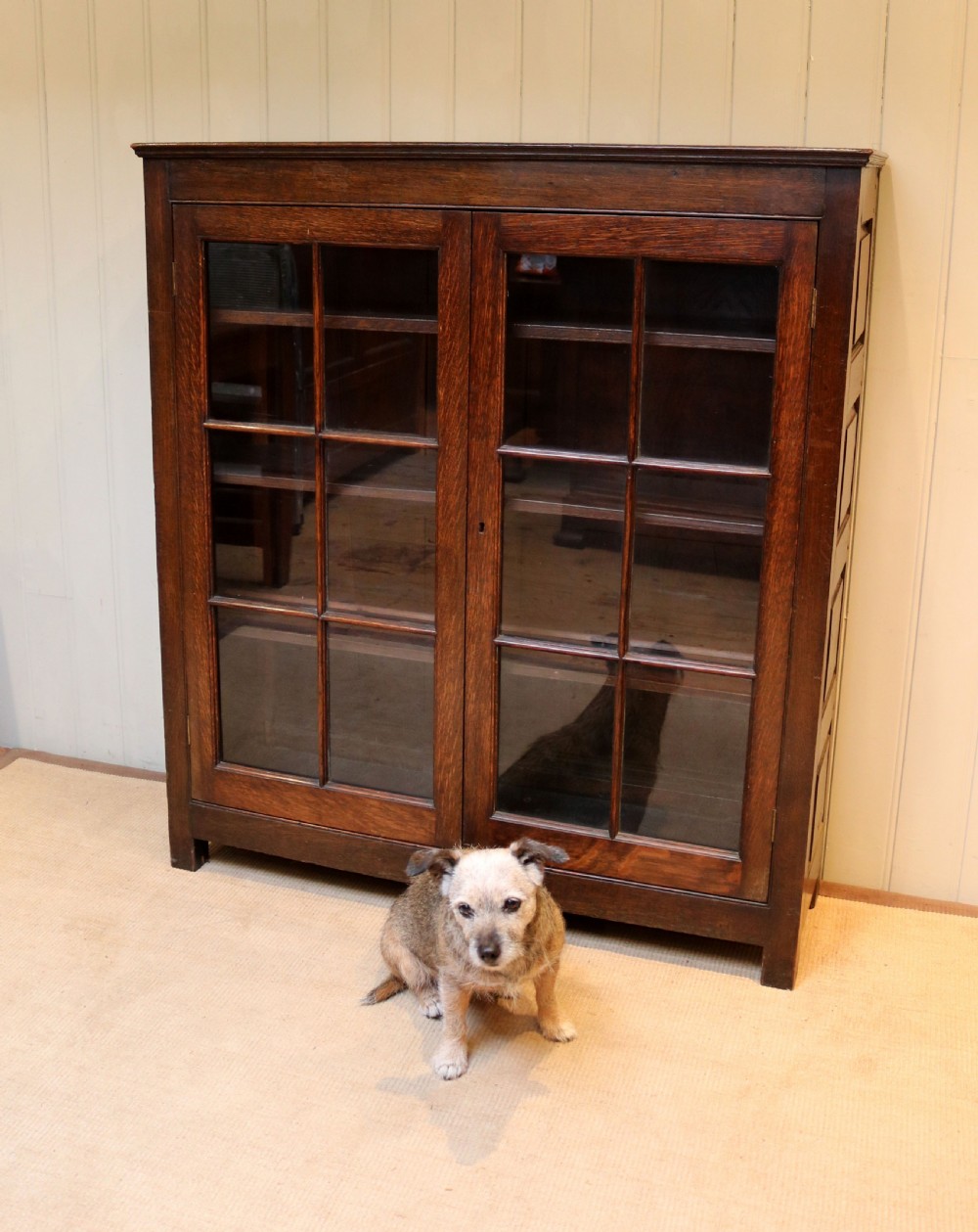 Mid 19th Century Dark Oak Bookcase View VI
