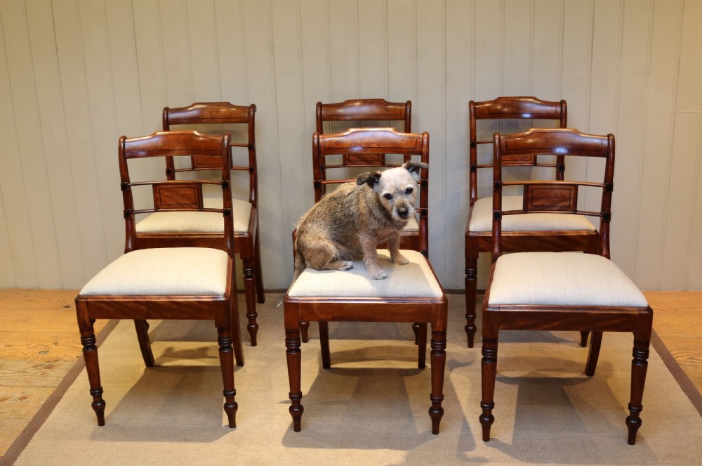 Set Of Six Regency Mahogany Dining Chairs  View IX