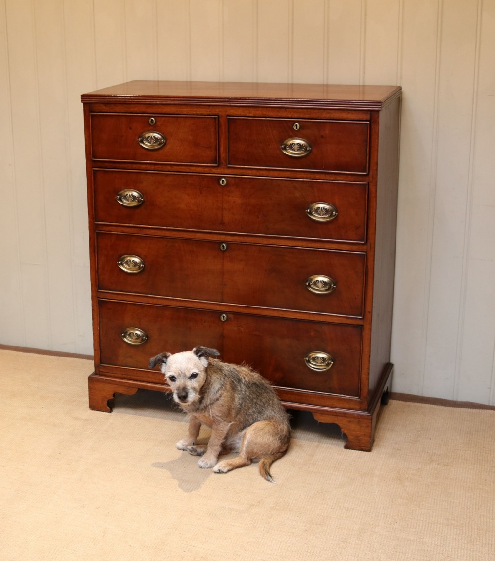 Mahogany Chest Of Drawers View IV