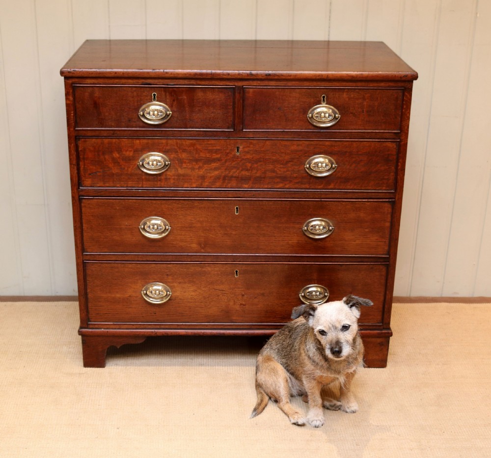 Georgian Solid Oak Chest Of Drawers View IV