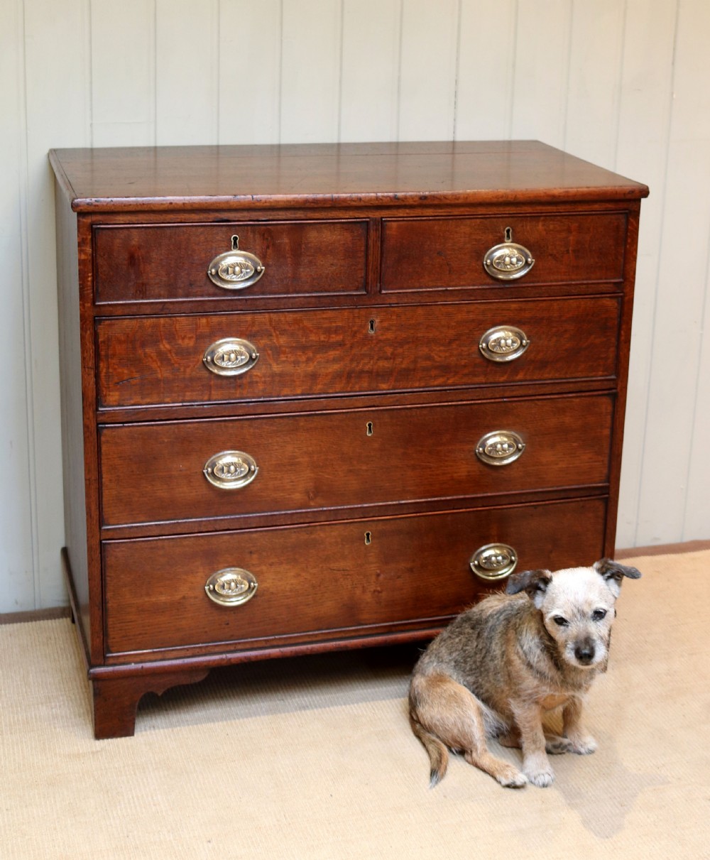 Georgian Solid Oak Chest Of Drawers View VII