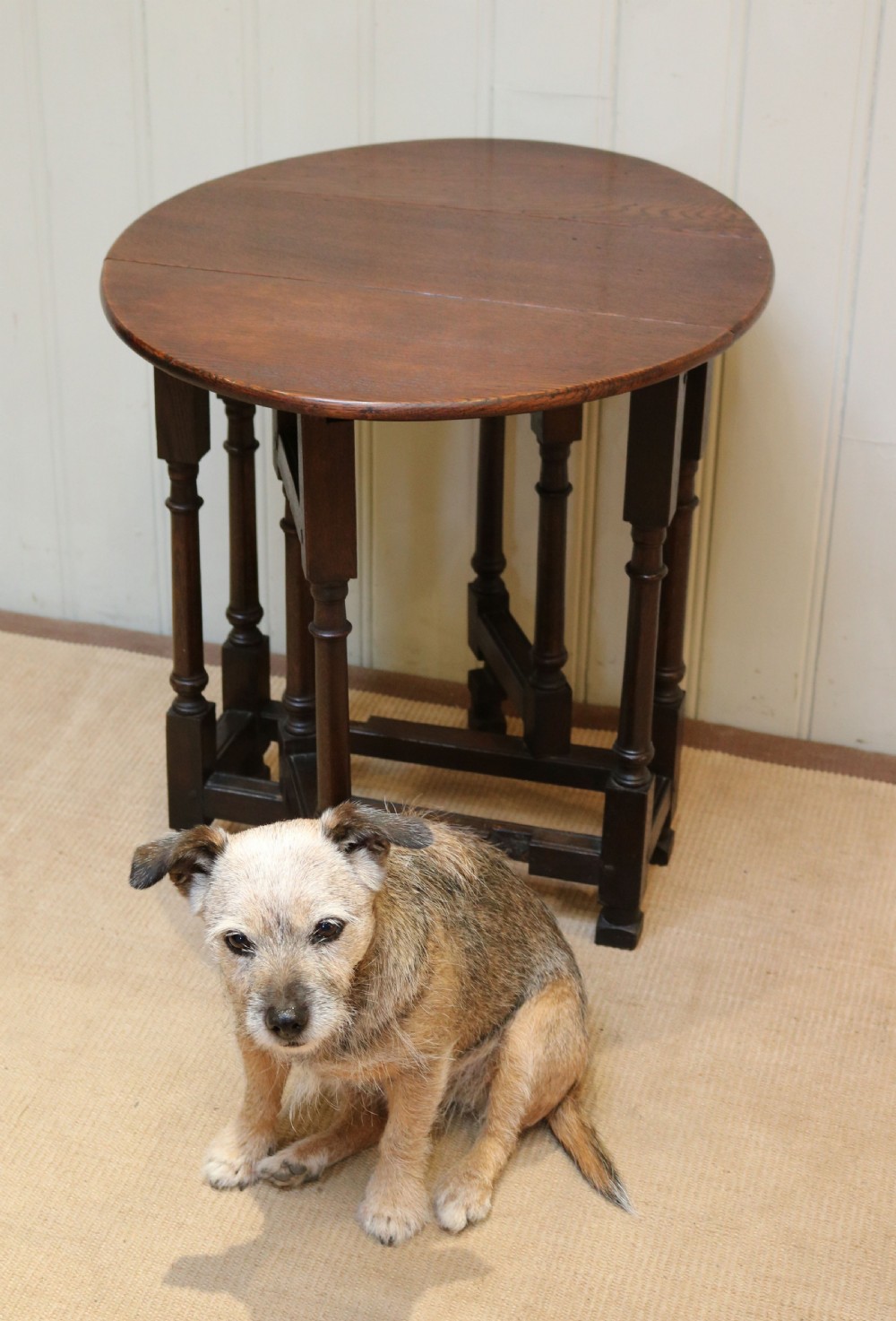 Small Oak Gateleg Table View VII