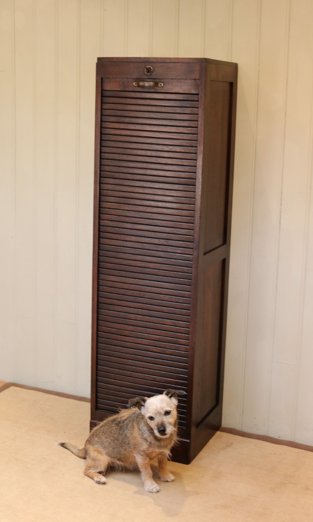 Tall Single Dark Oak Tambour Front Filing Cabinet View VII