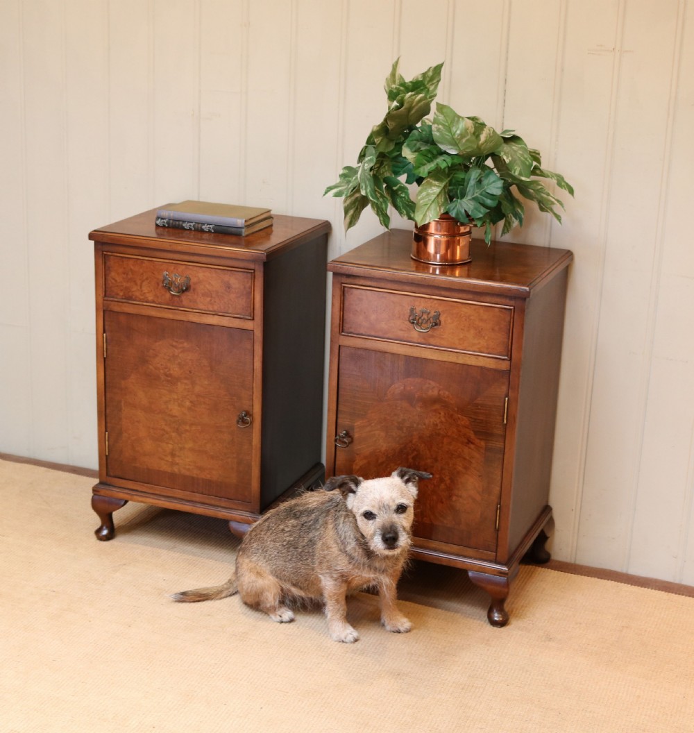Pair Of Burr Walnut Bedside Cabinets  View III