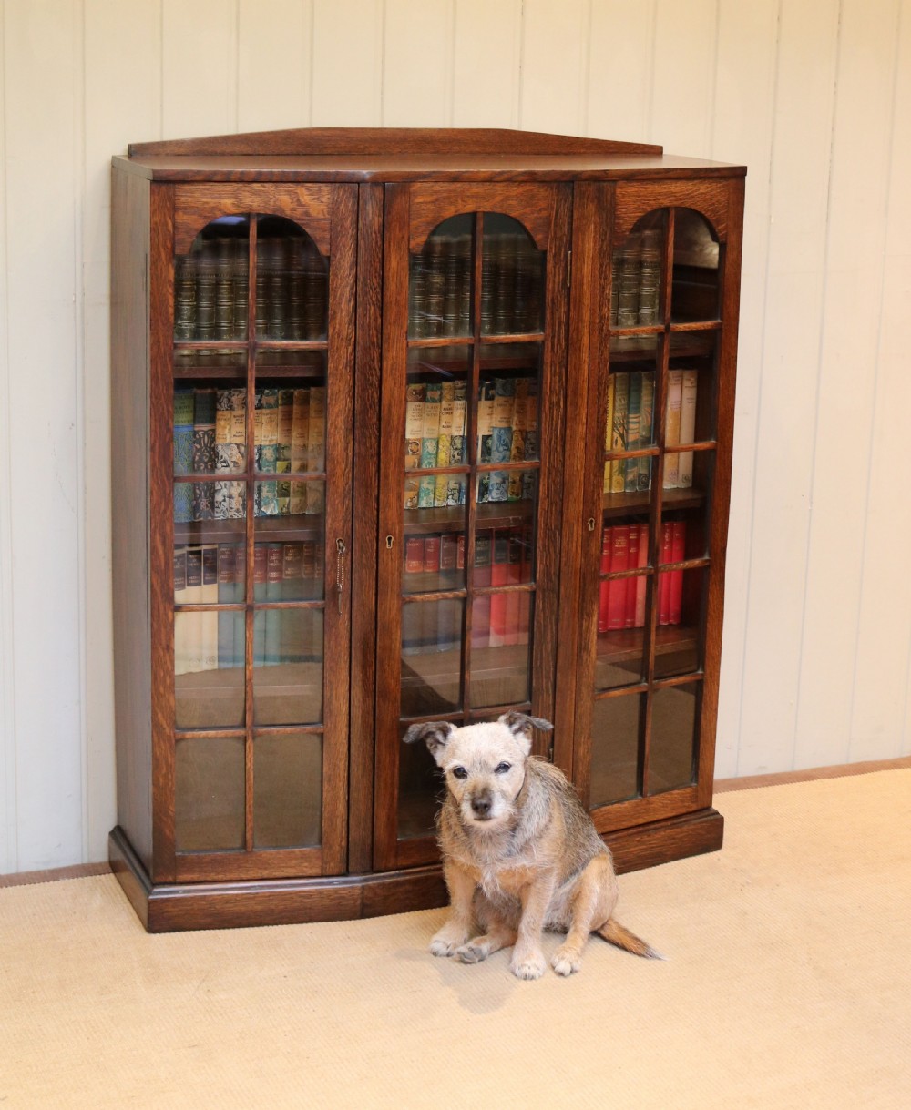 Oak Glazed Bookcase View V