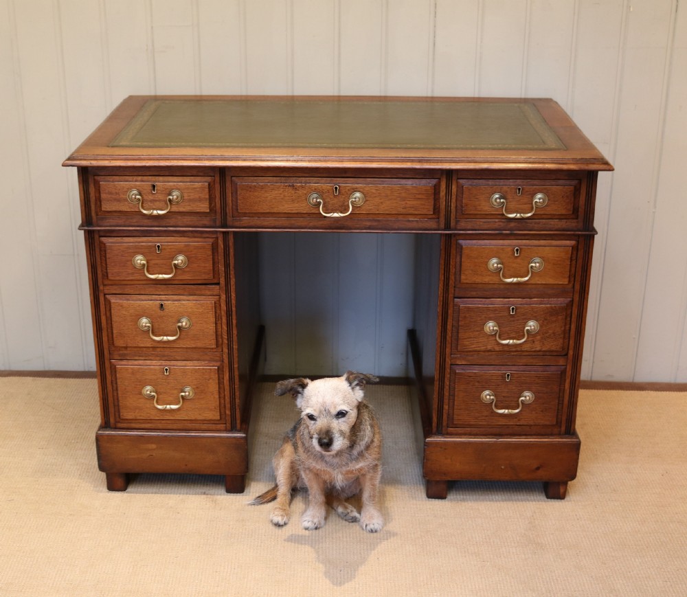 Oak Pedestal Desk View IV
