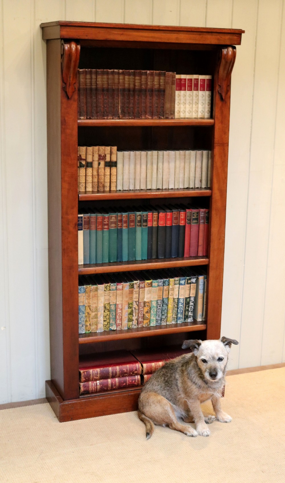 Walnut Open Bookcase View V