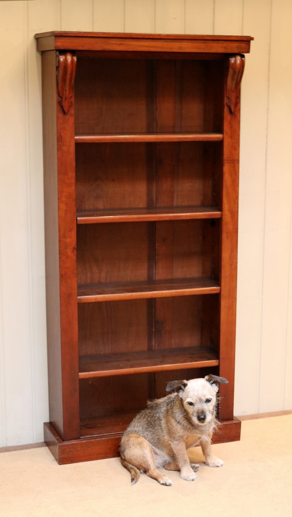 Walnut Open Bookcase View VIII