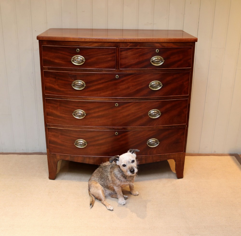 Mahogany Bow Front Chest Of Drawers View III