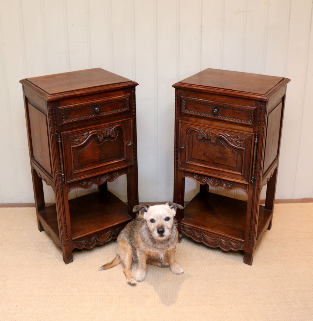 Late 19th Century Pair Of French Oak Bedside Cabinets View VI