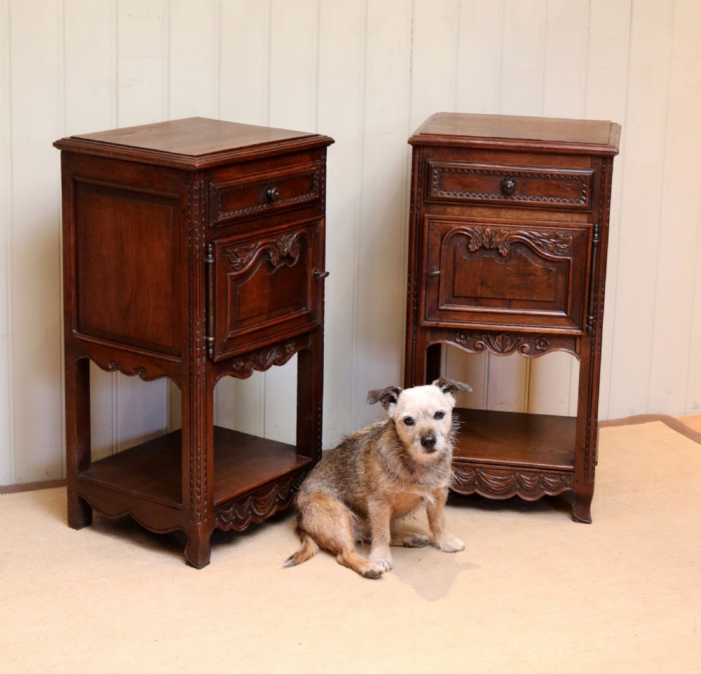 Late 19th Century Pair Of French Oak Bedside Cabinets View VIII