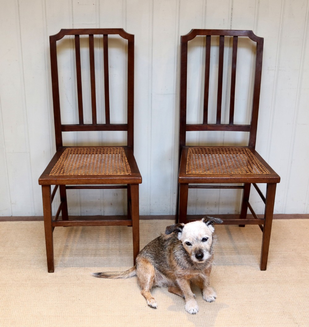 Pair Of Mahogany Cane Seat Chairs View V
