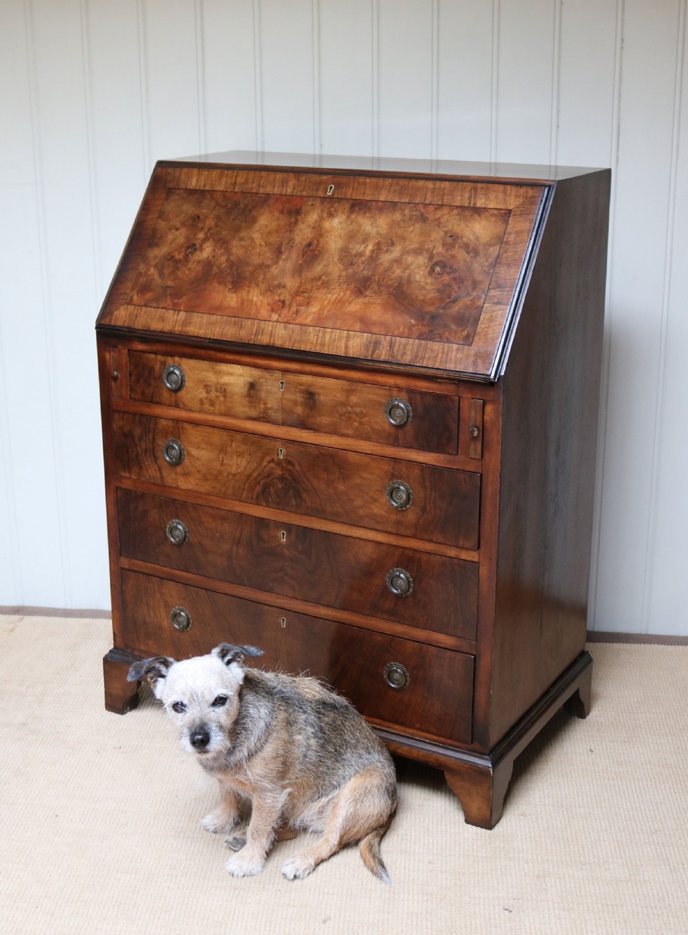 Burr Walnut Bureau View II