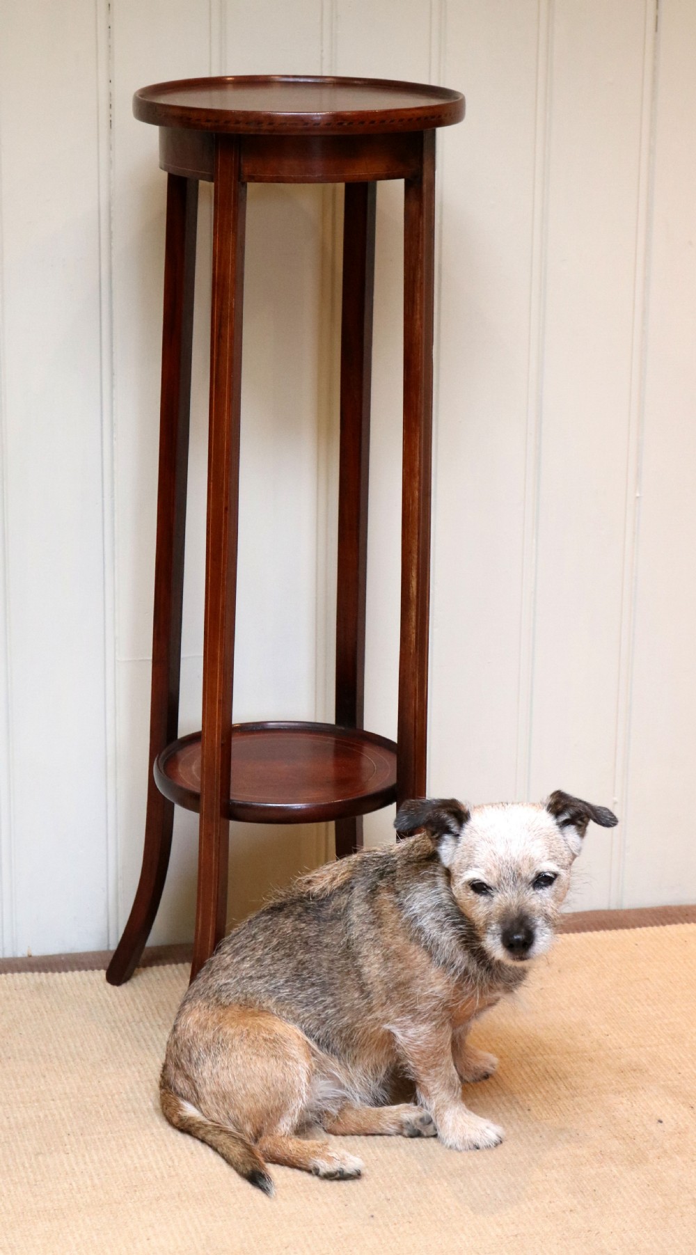Edwardian Mahogany Plant Stand View III