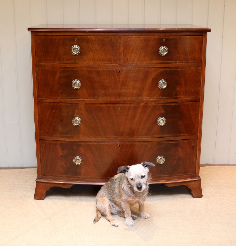Edwardian Mahogany Bow Front Chest Of Drawers View VI