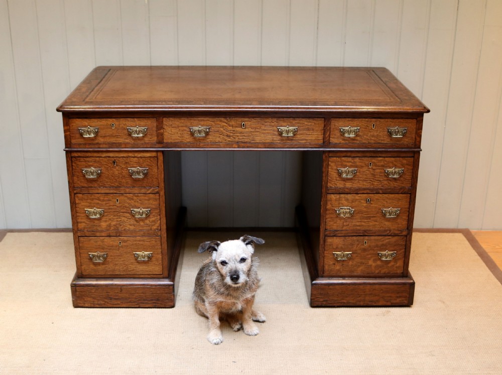 Oak Pedestal Desk View VII