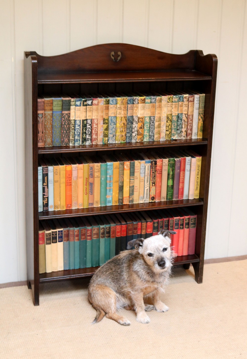 Oak Open Bookcase  View III