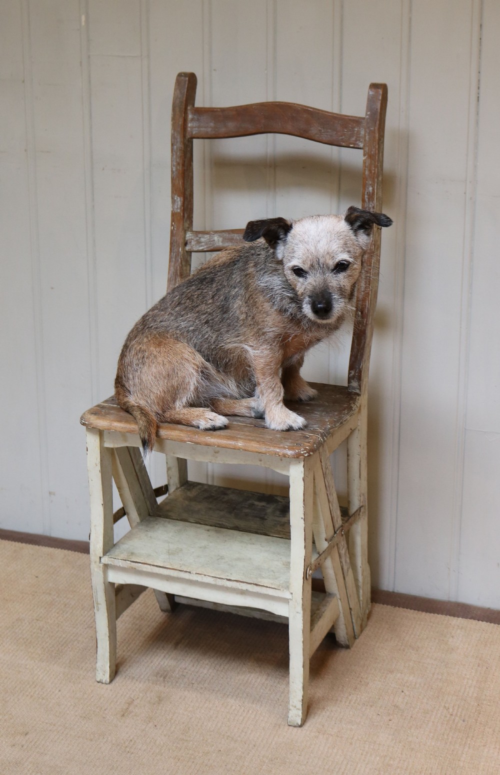 French Beech Metamorphic Chair View V