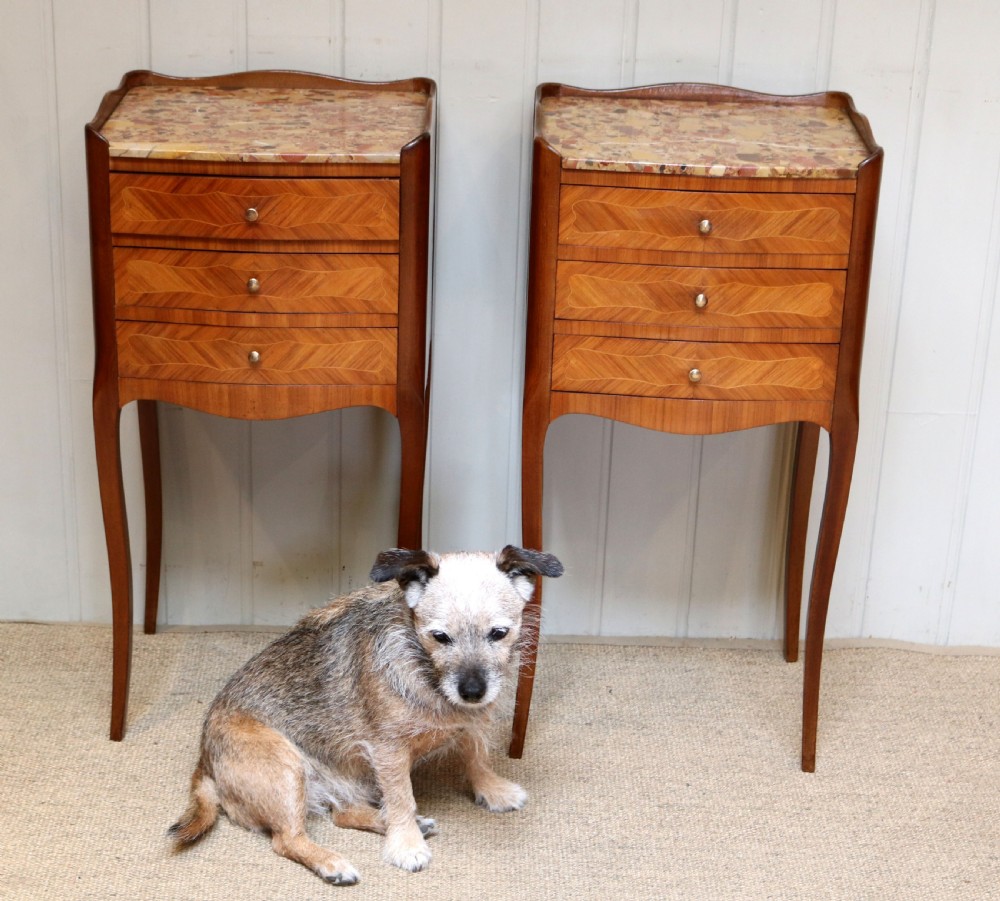Pair of French Tulipwood Bedside Cabinets  View VII
