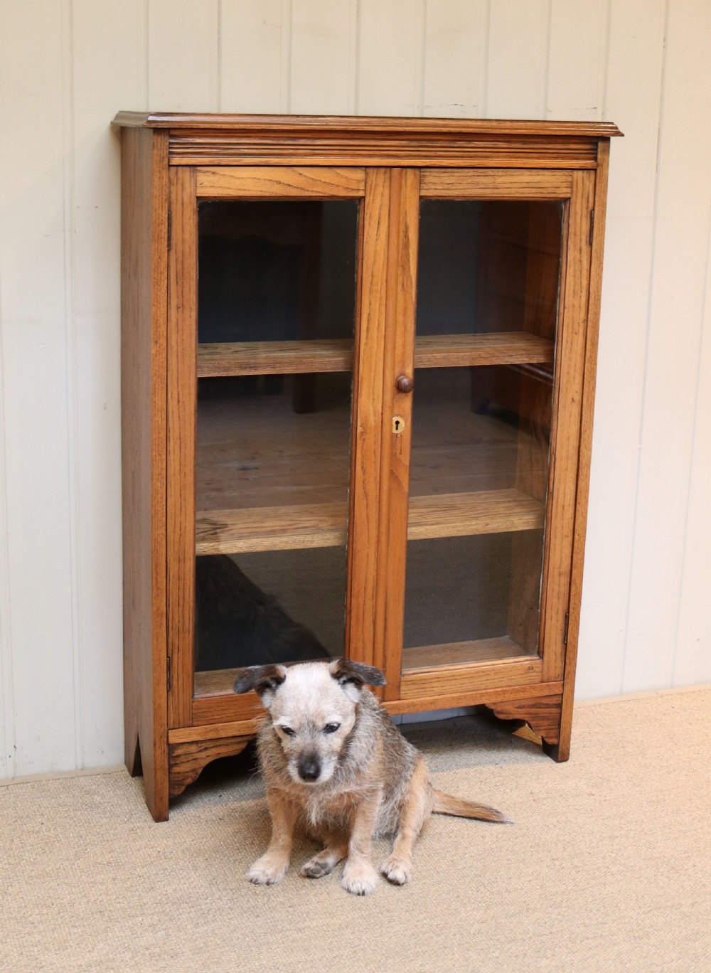 Small Proportioned Oak Glazed Bookcase View VI