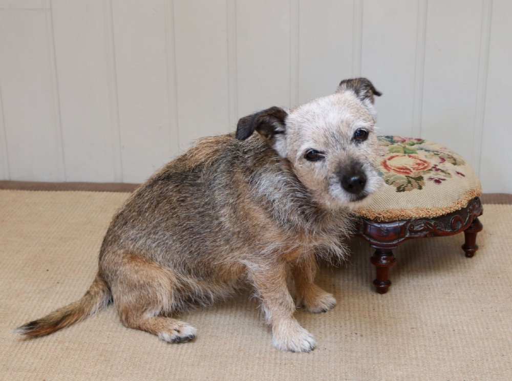 Victorian Walnut Upholstered Foot Stool View VI