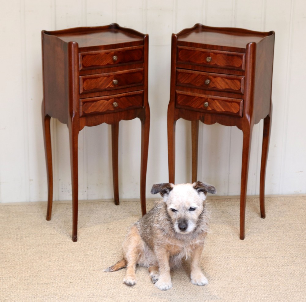Pair Of French Rosewood Bedside Cabinets View VIII