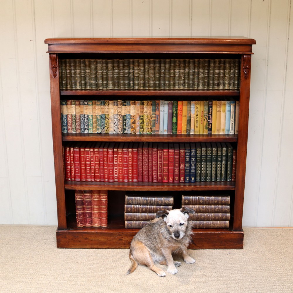 Late 19th Century Mahogany Open Bookcase View VIII