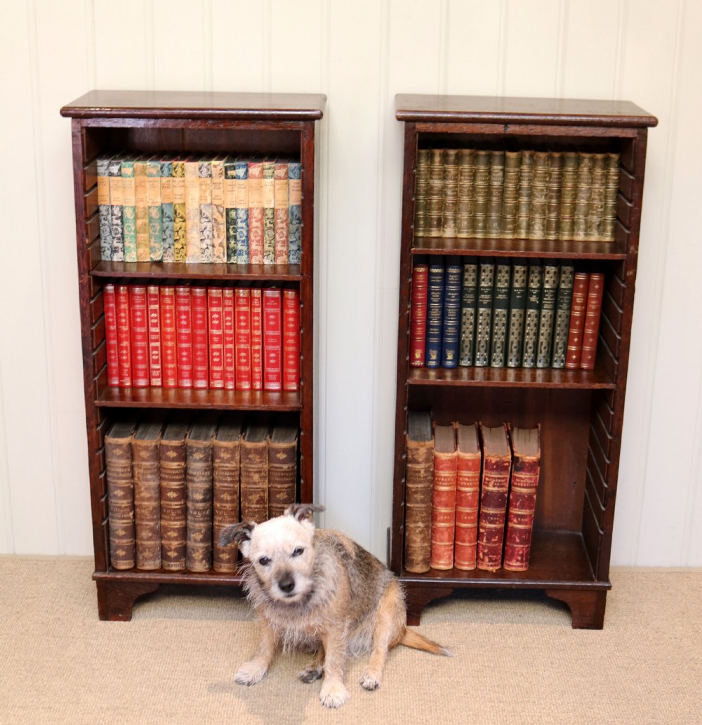Late 19th Century Rustic Oak Bookcase View VI
