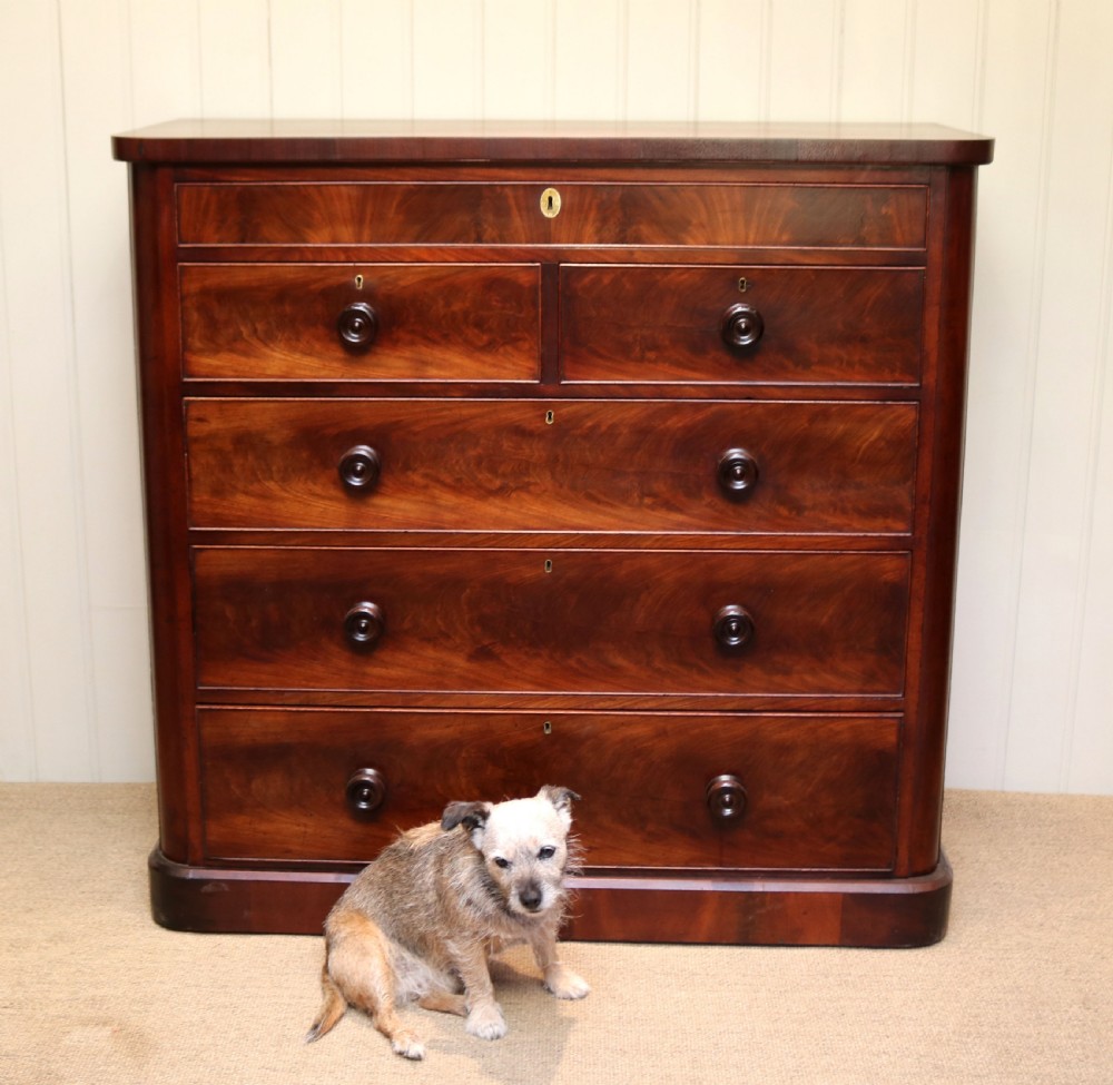 Large Mahogany Chest Of Drawers View V