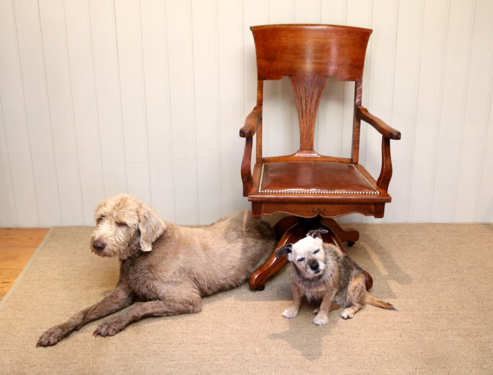 Edwardian Revolving Oak Office Chair View VIII