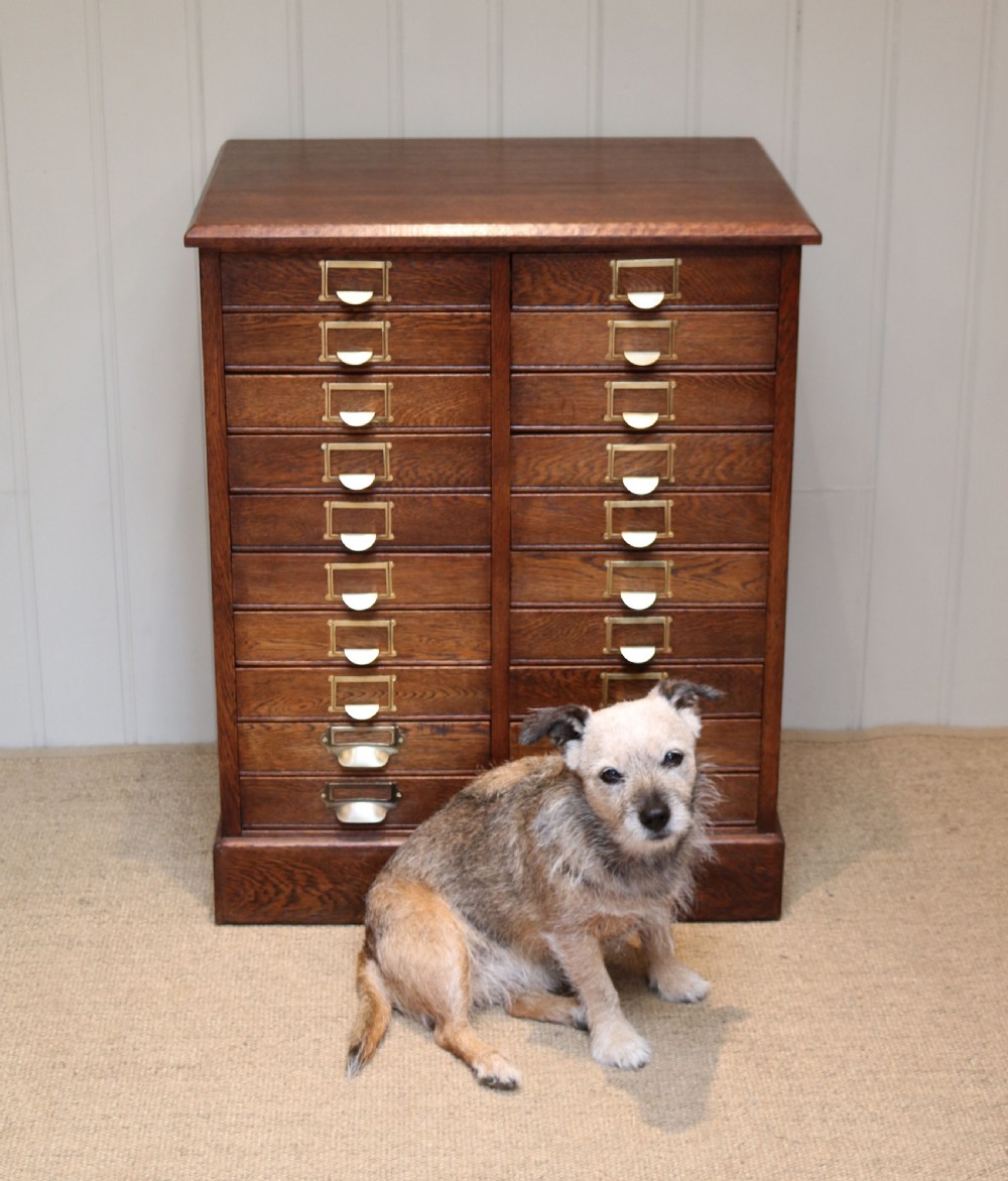 Edwardian Oak Filing Cabinet View V