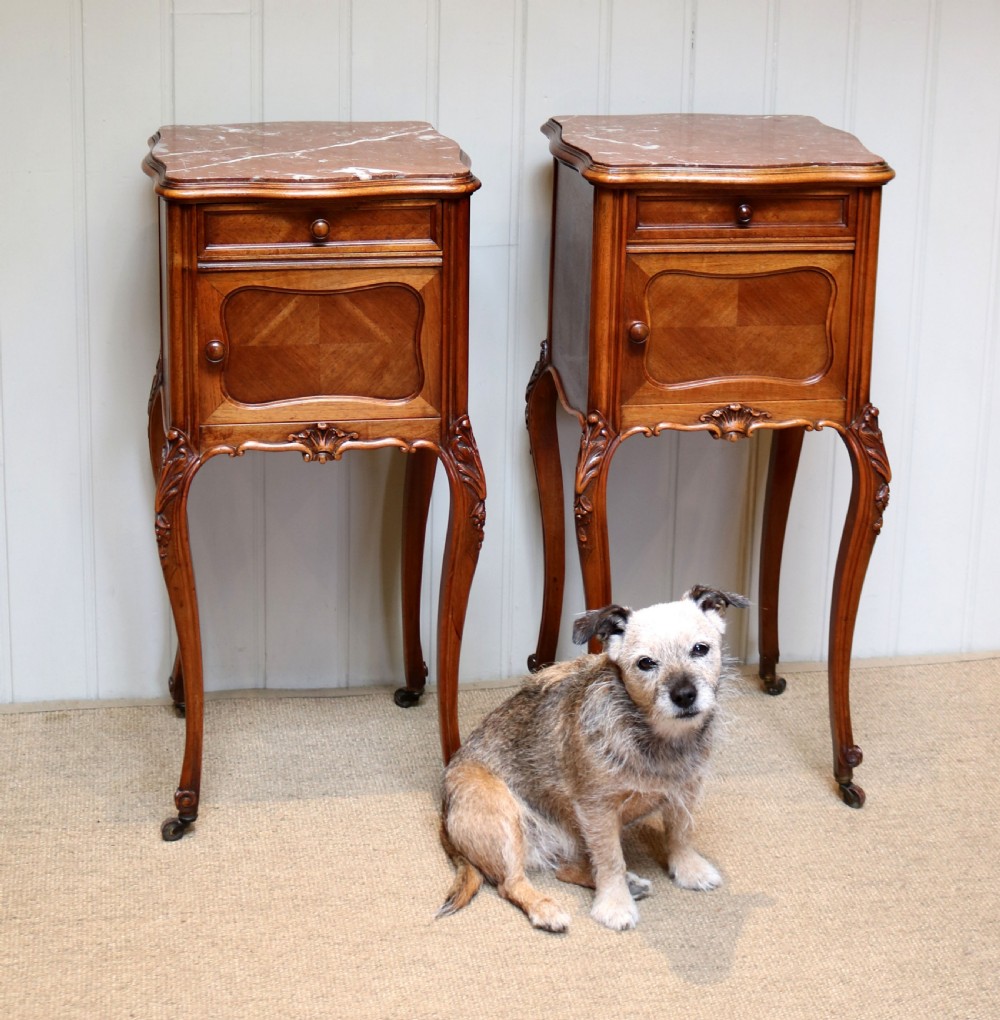 Pair Of French Walnut Bedside Cabinets View VII