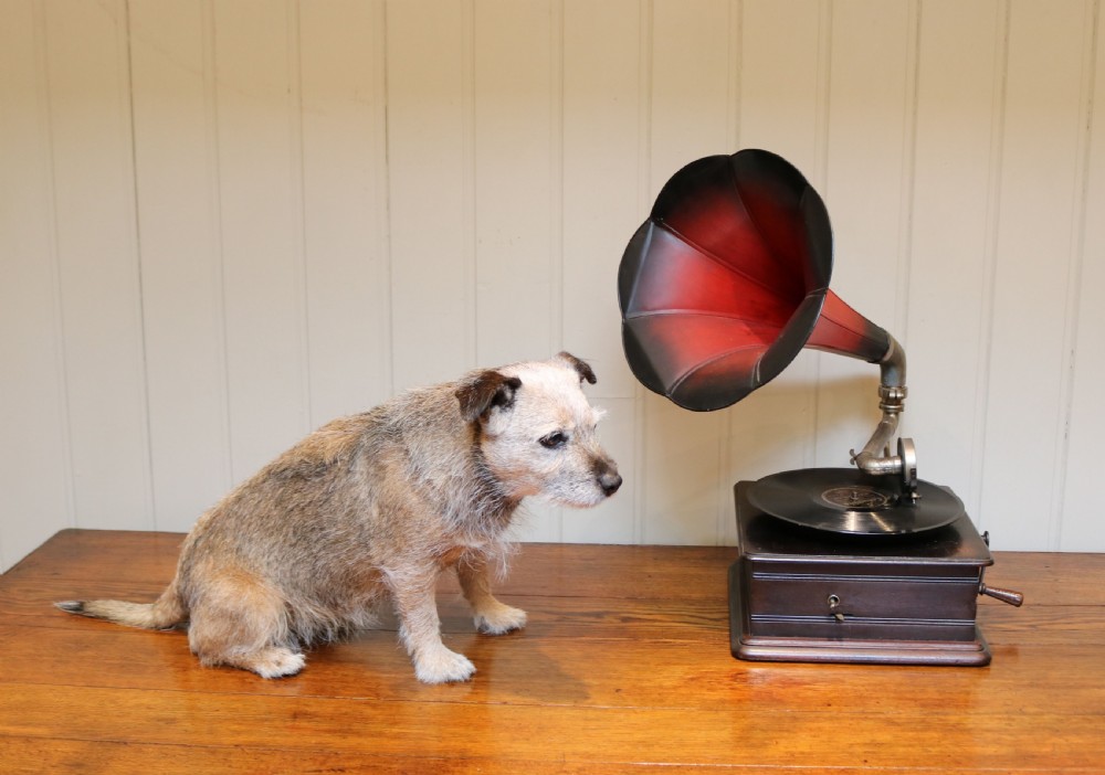 French Horn Gramophone  View V