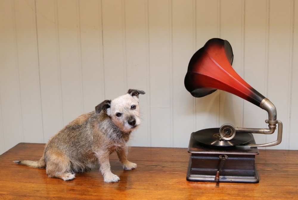 French Horn Gramophone  View VI