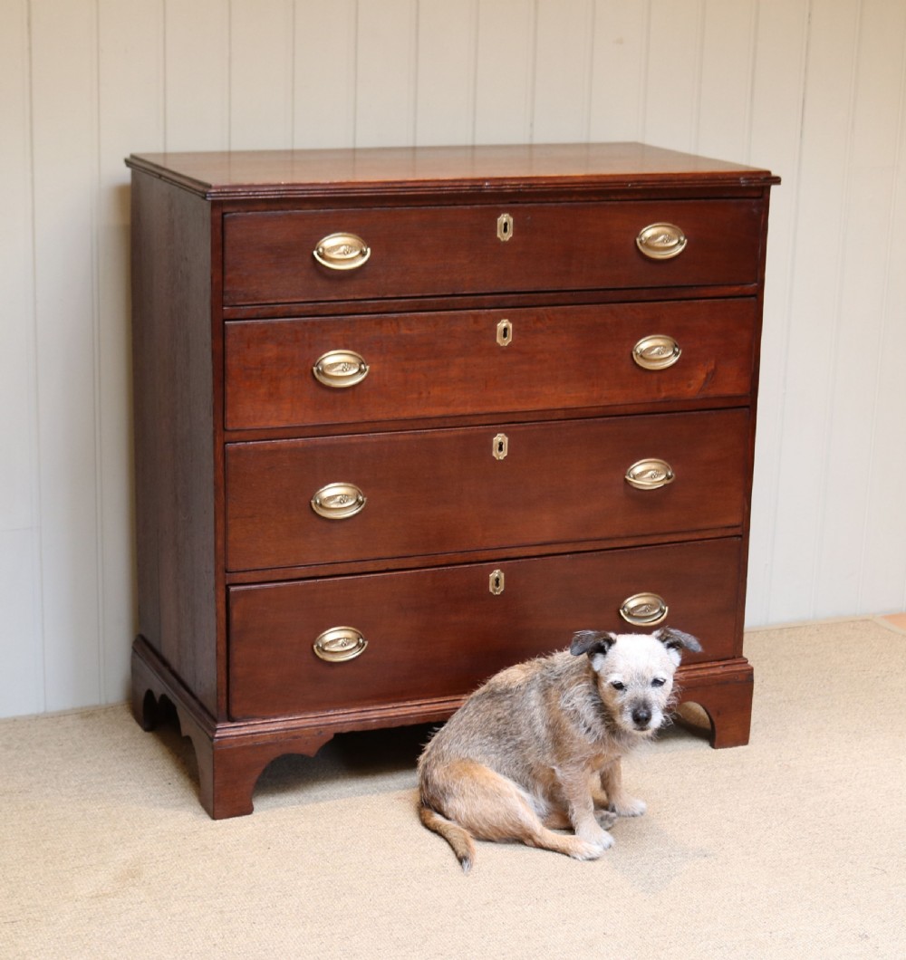 Early Victorian Oak Chest Of Drawers  View V