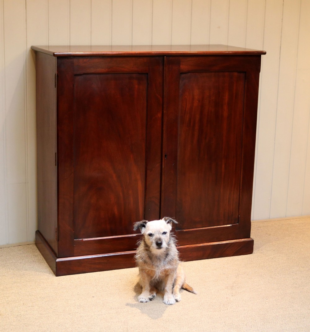 Late Victorian Mahogany Side Cabinet View V