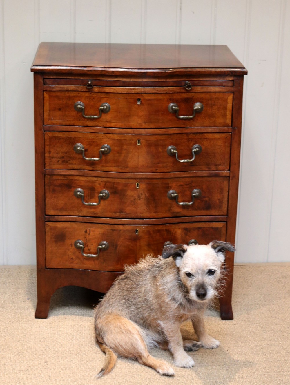 Small Proportioned Walnut Chest Of Drawers View IX