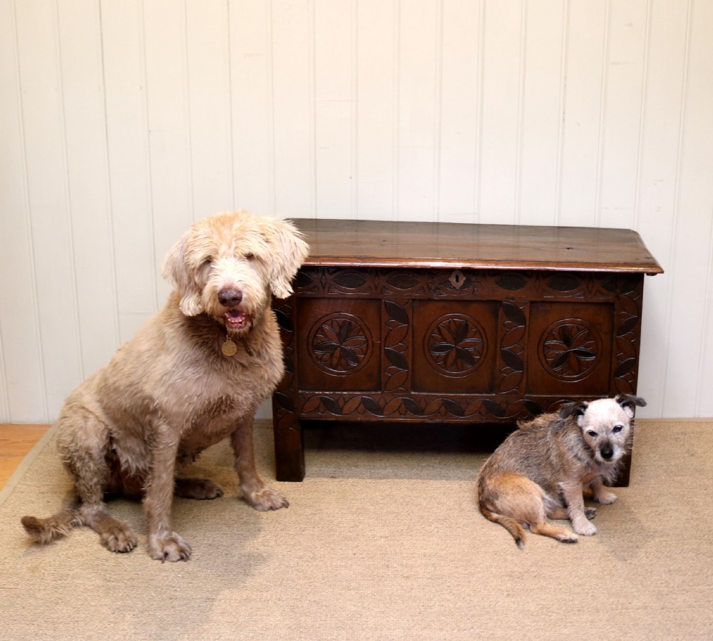 Late 17th Century Oak Coffer View VIII