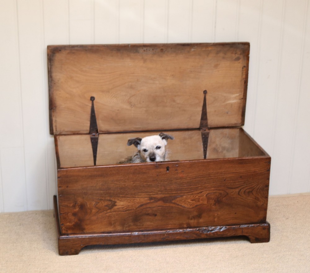 Georgian Rustic Elm Coffer View IV