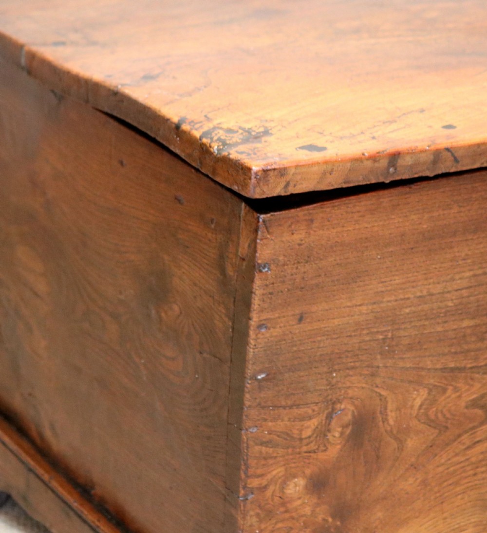 Georgian Rustic Elm Coffer View VI