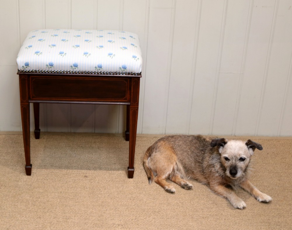 Edwardian Mahogany Piano Stool View IX