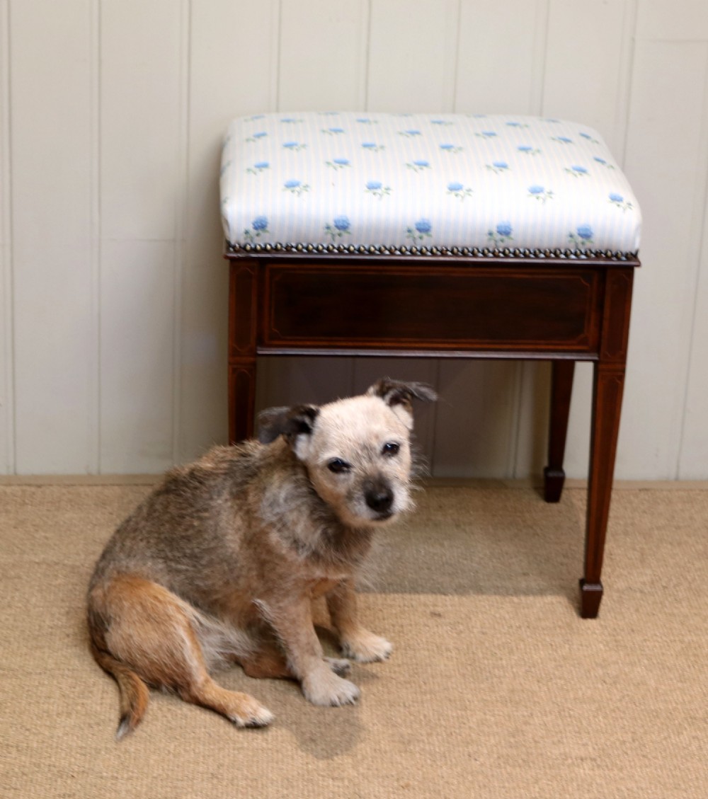 Edwardian Mahogany Piano Stool View X