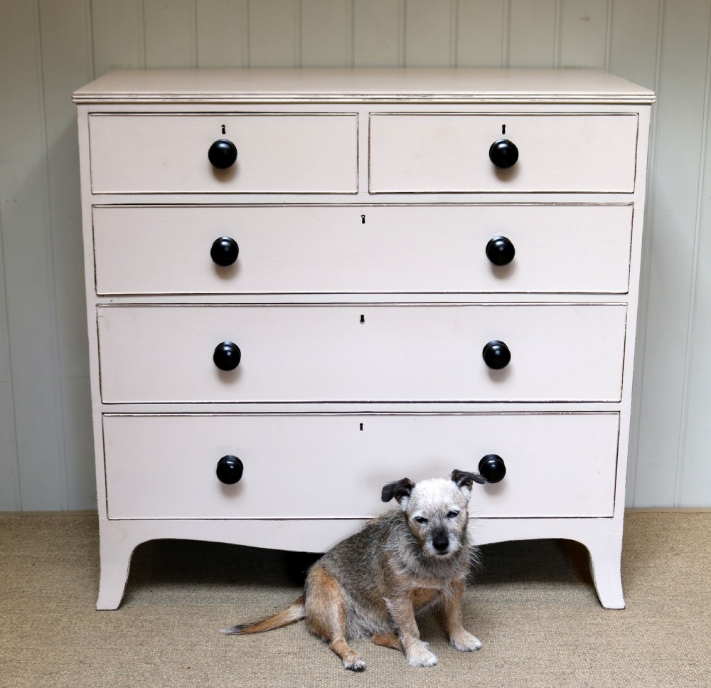 Early Victorian Painted Chest Of Drawers  View IV