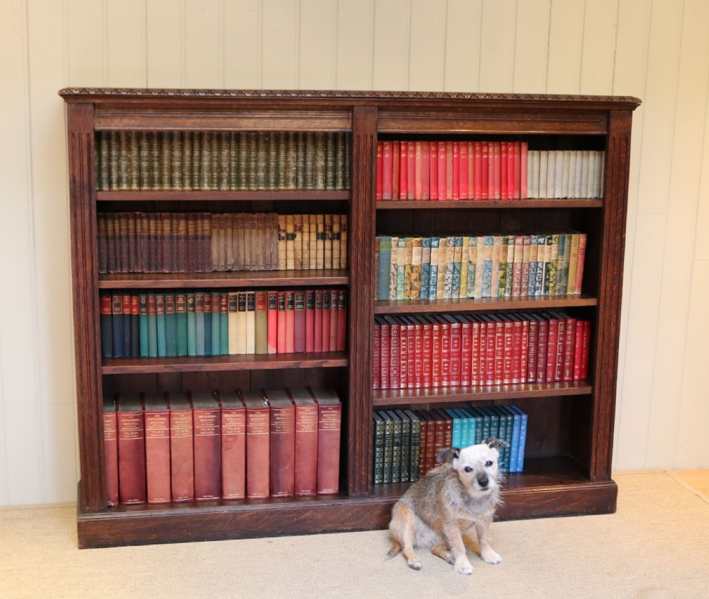 Substantial Oak Open Bookcase View IX