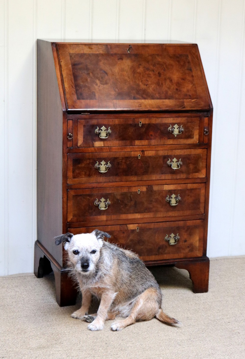 Small Proportioned Walnut Bureau View VI