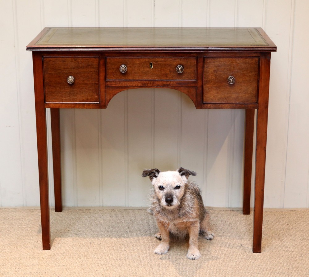 Edwardian Mahogany Writing Desk View V