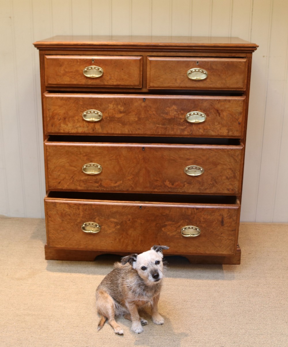 Substantial Pollard Oak Chest Of Drawers View VII