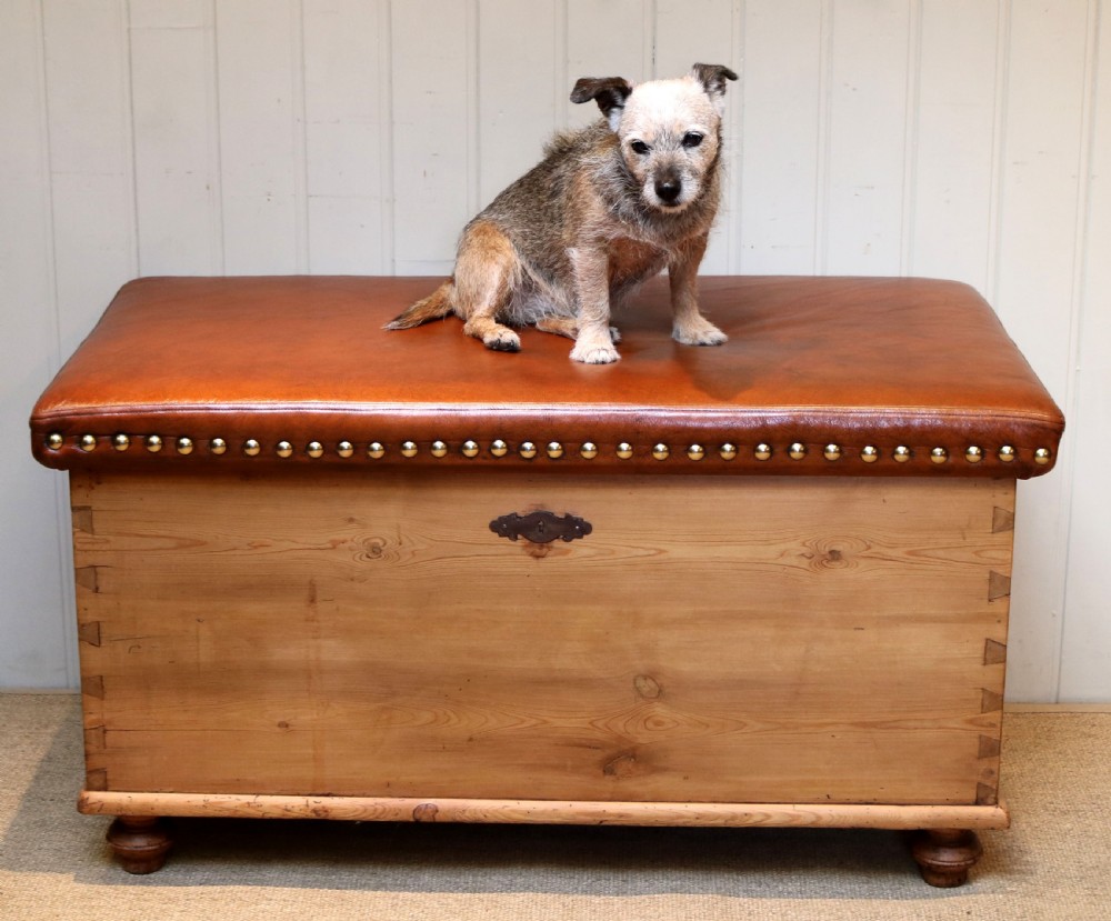 Victorian Pine Coffer With A leather Seat View III